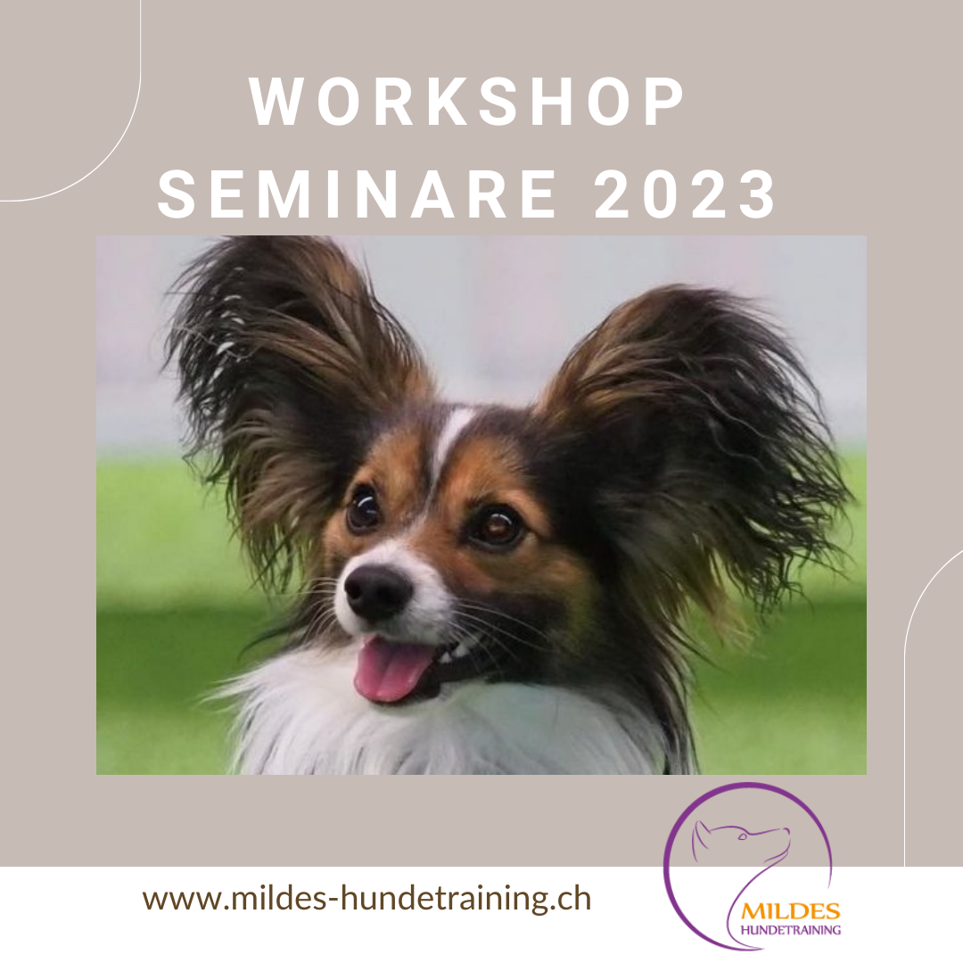 Workshop Seminare 2023